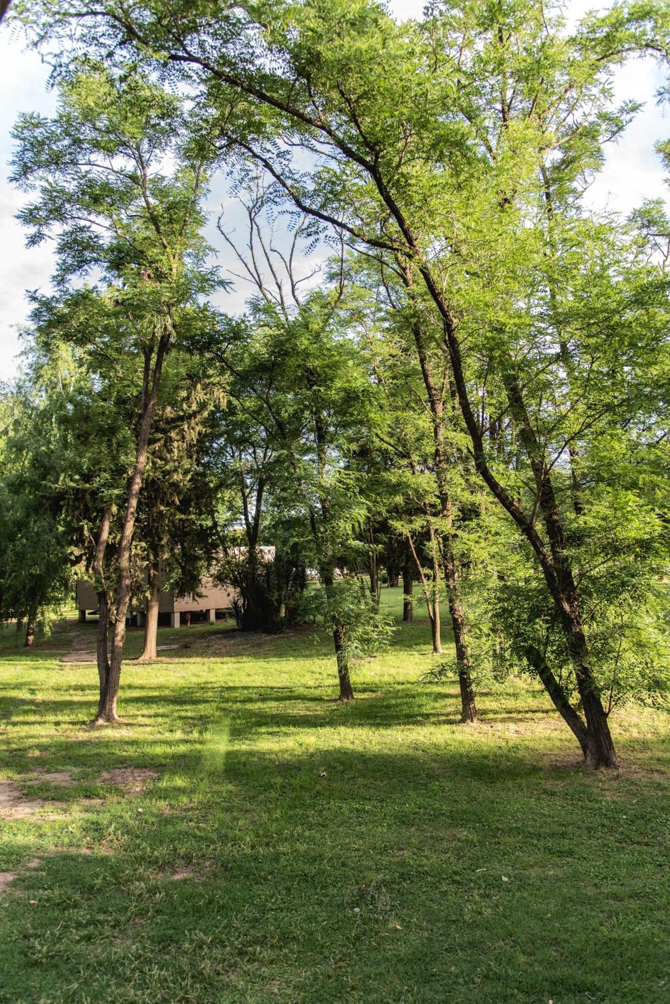 La Quinta, Cabanas De Campo Villa Nueva  Экстерьер фото