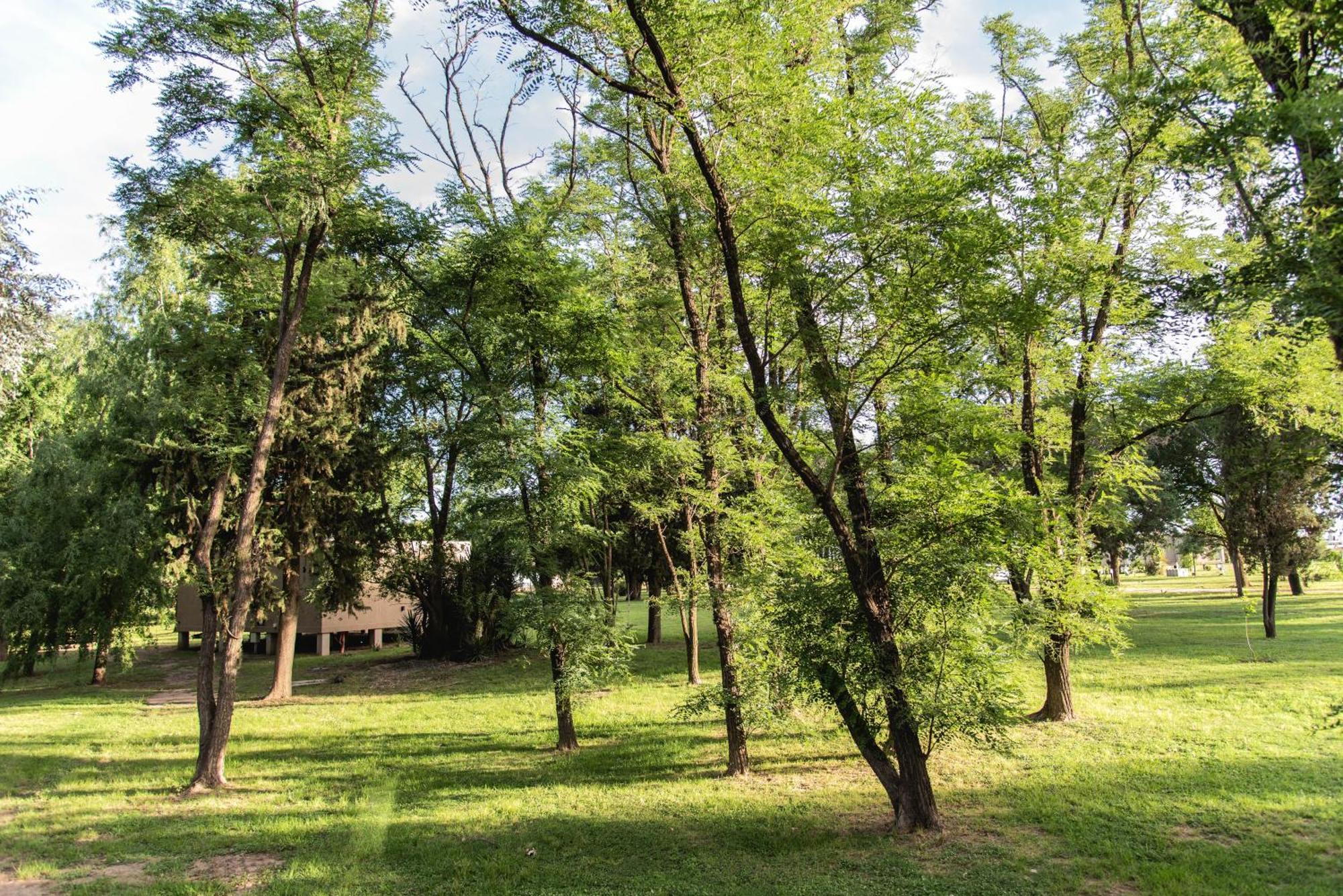 La Quinta, Cabanas De Campo Villa Nueva  Экстерьер фото